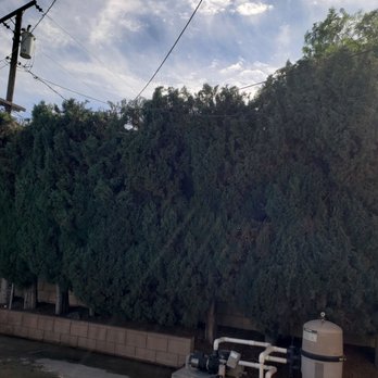 Poly Timber Tree Service - Tree Services Near Me - Pico Rivera, California Poly Timber Tree Service - Tree Services Near Me - Pico Rivera, California