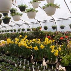 Brubaker's GreenHouses