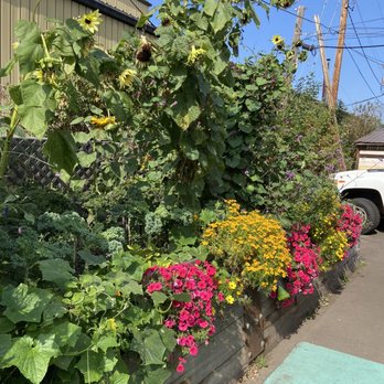 Duluth Grill - Behind the restaurant is this beautiful kitchen garden - Breakfast & Brunch Near Me - Duluth, Minnesota