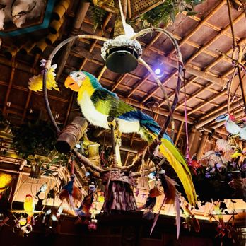 Tiki Juice Bar - Tiki House - Juice Bars & Smoothies Near Me - Anaheim, California Tiki Juice Bar - Tiki House - Juice Bars & Smoothies Near Me - Anaheim, California