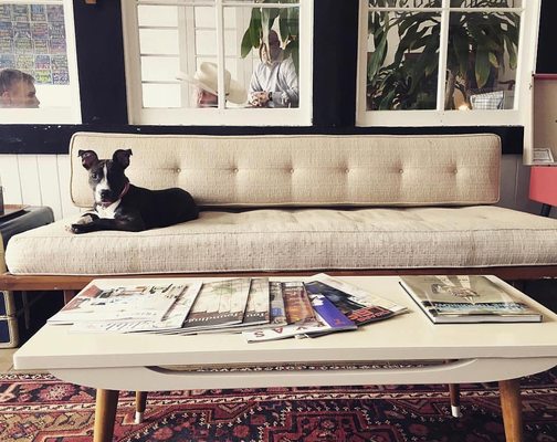 Big Henry's Vinyl & Gifts by null