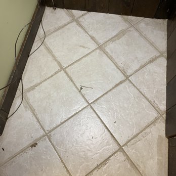PestMaster - More of the mess they left! - Pest Control Near Me - Kingston, New York PestMaster - More of the mess they left! - Pest Control Near Me - Kingston, New York