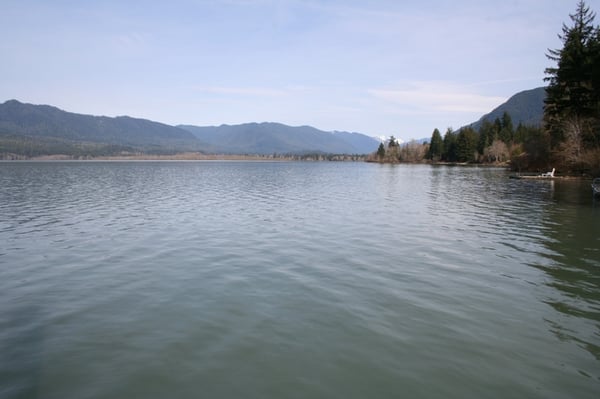 Lake Quinault Lodge by null