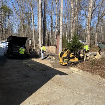 Boon Tree Service - Tree Services Near Me - Charlotte, North Carolina