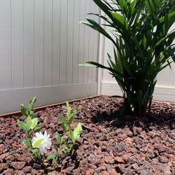 Takenaka Landscaping Company