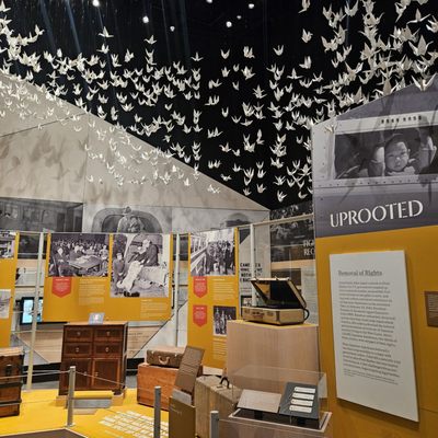 California Museum by null