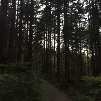 Lynn Headwaters Regional Park - Parks Near Me - North Vancouver, British Columbia Lynn Headwaters Regional Park - Parks Near Me - North Vancouver, British Columbia