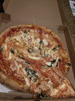 Peace Love and Pizza - Milton by null