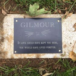 Wassenaar Pet Cemetery