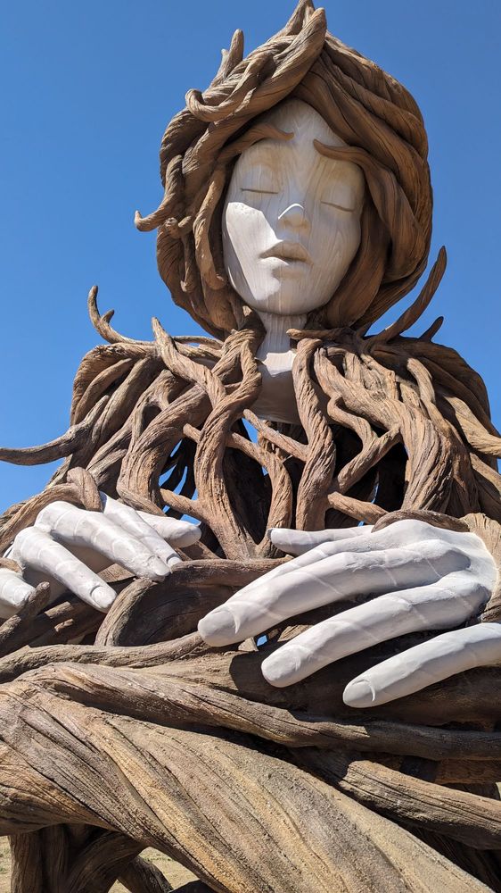 UMI BY DANIEL POPPER Updated September 2024 15 Photos Q893+39