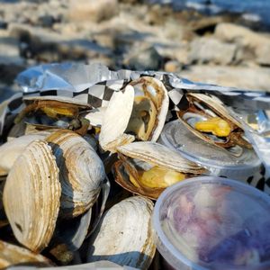 2021 Maine - Arcadia National Park Trip