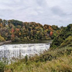 Lower Falls Park - Morning walk with Dakota