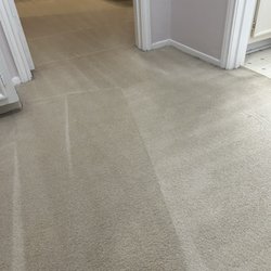Dsteamer - PET stains treatment after