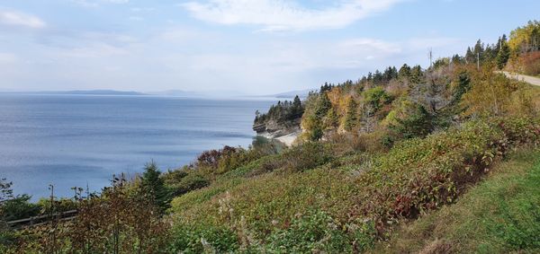 Forillon National Park by null