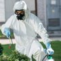 Pest Pros