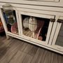 Photo of Fremds Furbabies