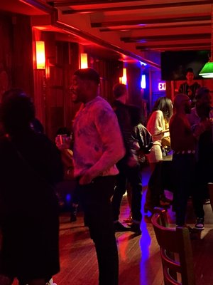 Cat Lounge NYC by null