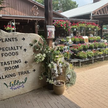 Wildseed Farms - 5/2024 - Nurseries & Gardening Near Me - Fredericksburg, Texas