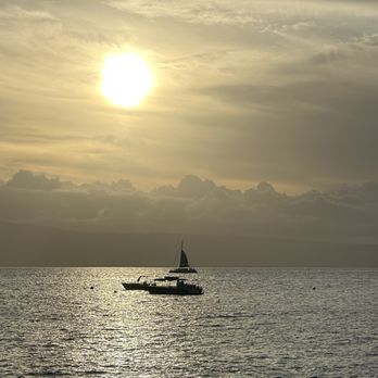 Case By Case Travel - Sunsetting - Travel Agents Near Me