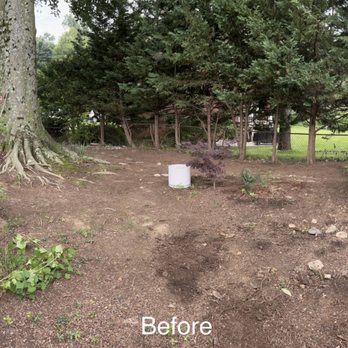 Tenleytown Lawn & Landscape - BEFORE: Large side yard before work started. - Landscaping Near Me - Washington, DC, District of Columbia Tenleytown Lawn & Landscape - BEFORE: Large side yard before work started. - Landscaping Near Me - Washington, DC, District of Columbia