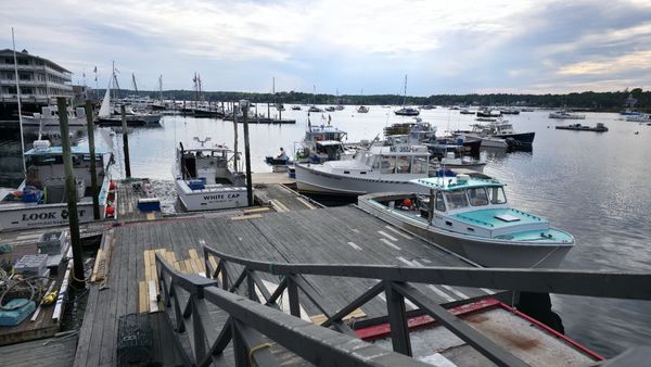 Boothbay Lobster Wharf by null