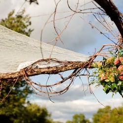 Wild Orchid Custom Floral Designs - Chuppah Details
