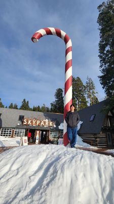 SkyPark at Santa's Village by null