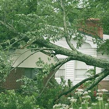 Falls Tree Service - Tree Services Near Me - Great Falls, Montana Falls Tree Service - Tree Services Near Me - Great Falls, Montana