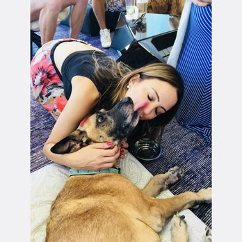 Two Hands Four Paws - Ruby - Veterinarians Near Me - Los Angeles, California