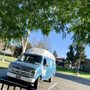 Photo of Tropical Ice Cream