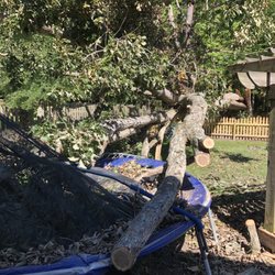 Colonial Tree Service