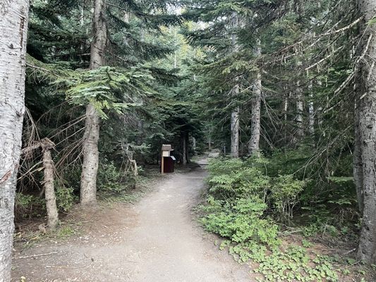 Mt St Helens by null