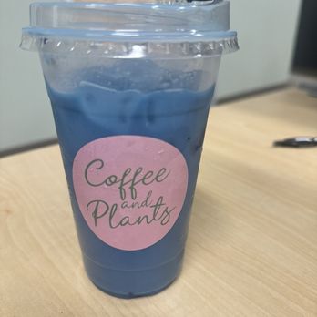 Coffee and Plants - Blue lavender Latte - Coffee & Tea Near Me - Pasadena, California Coffee and Plants - Blue lavender Latte - Coffee & Tea Near Me - Pasadena, California