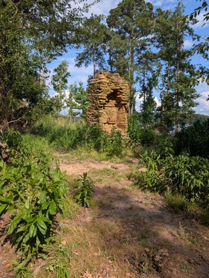 Dreher Island State Park by null
