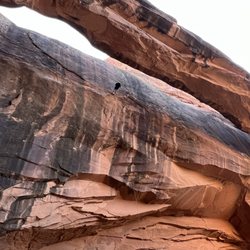 Paddle Moab- Raft, Kayak, SUP, and Canyon