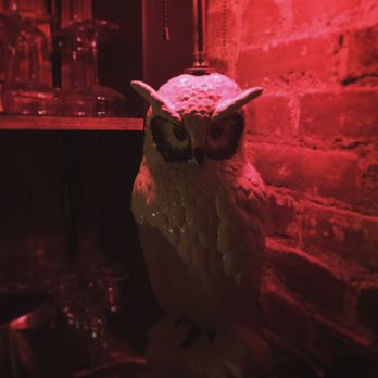 Dick and Jane's - Drinking buddy - Bars Near Me - Brooklyn, New York