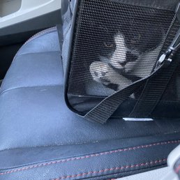 He wasn't happy but I  have to be a responsible fur baby Mom.