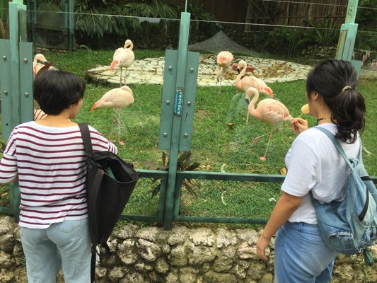 Shoushan Zoo by null