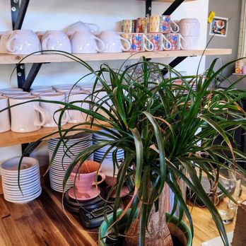 MoRA - Healthy plant (7/14/24) - Pop-Up Restaurants Near Me - Seattle, Washington MoRA - Healthy plant (7/14/24) - Pop-Up Restaurants Near Me - Seattle, Washington