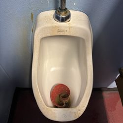 Georgia Bobs BBQ - Byron - Stinkiest urinal in Georgia.