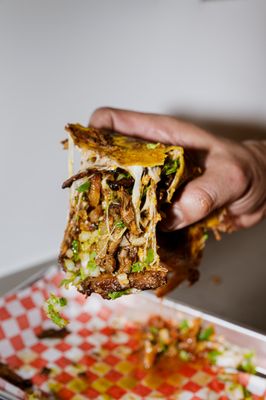 Mothers Tacos by null