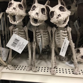 Michaels - Meow!! - Arts & Crafts Near Me - Chandler, Arizona