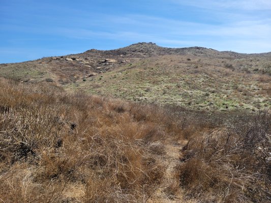 Sycamore Canyon Wilderness Park by null