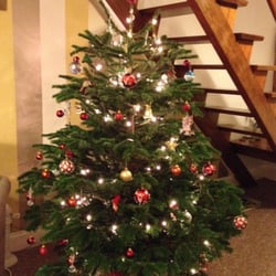 Rushfields Plant Centre - My Christmas tree from Rushfields!