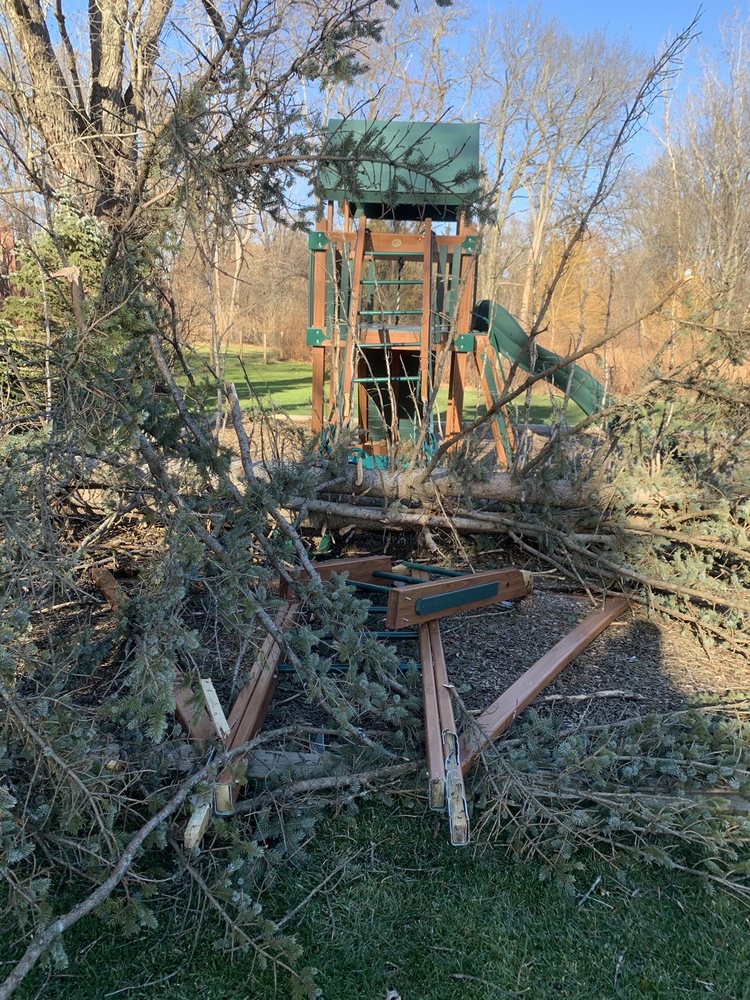 CLEAR CHOICE TREE SERVICE Updated August 2024 292 Salsburg Rd