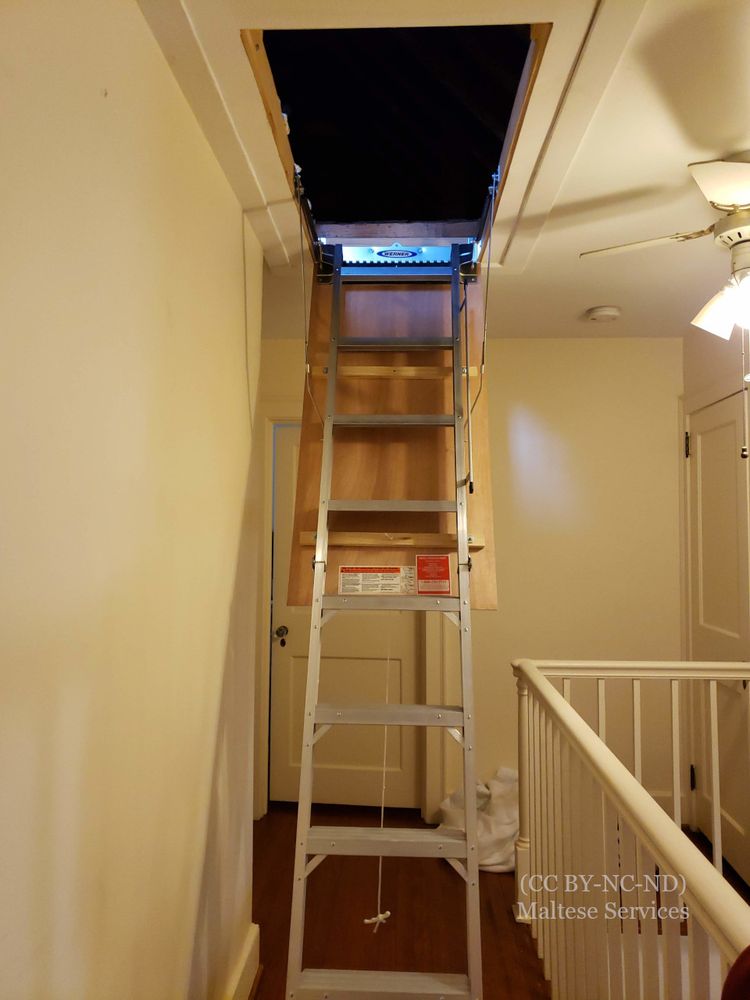 Slide of Maltese Services