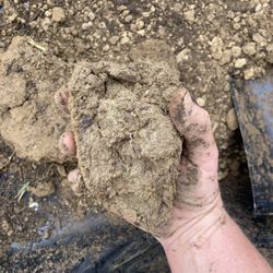 125 Sand Stone & More - Hard clay in the top soil