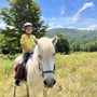 Photo of Vermont Icelandic Horse Farm