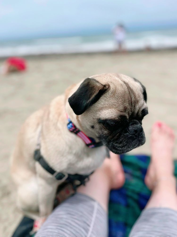Pacifica State Beach