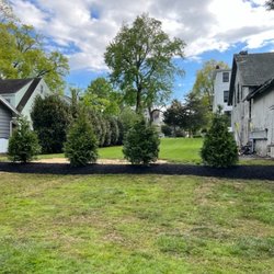 Bush Landscaping Services - Green giant trees and mulch bed